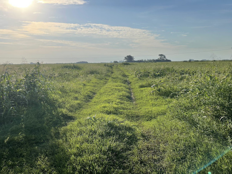Campo en Venta en Juan A. de la Peña - J.A de la Peña (44has)