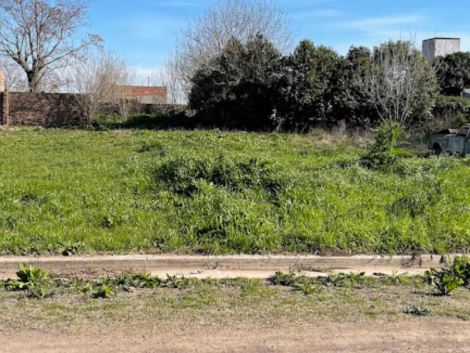 Terreno en Venta en Pergamino - Vicuña e/Martinetas y Huemul